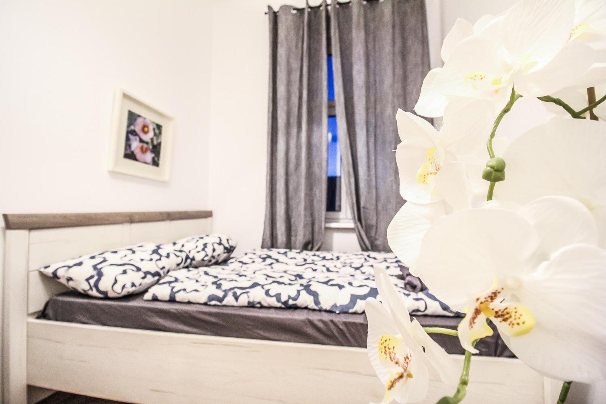 Comfortable Accommodations In The Alterlaa Area Lv6 Bécs Kültér fotó